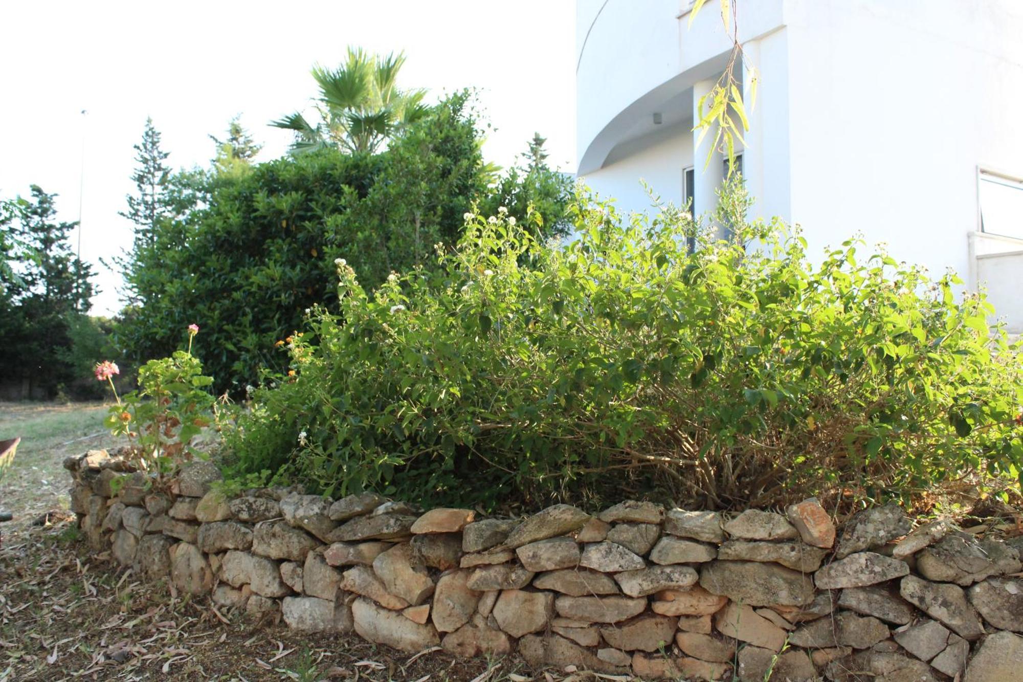 Boat Dreams , Garden Relax Διαμέρισμα Matino Εξωτερικό φωτογραφία